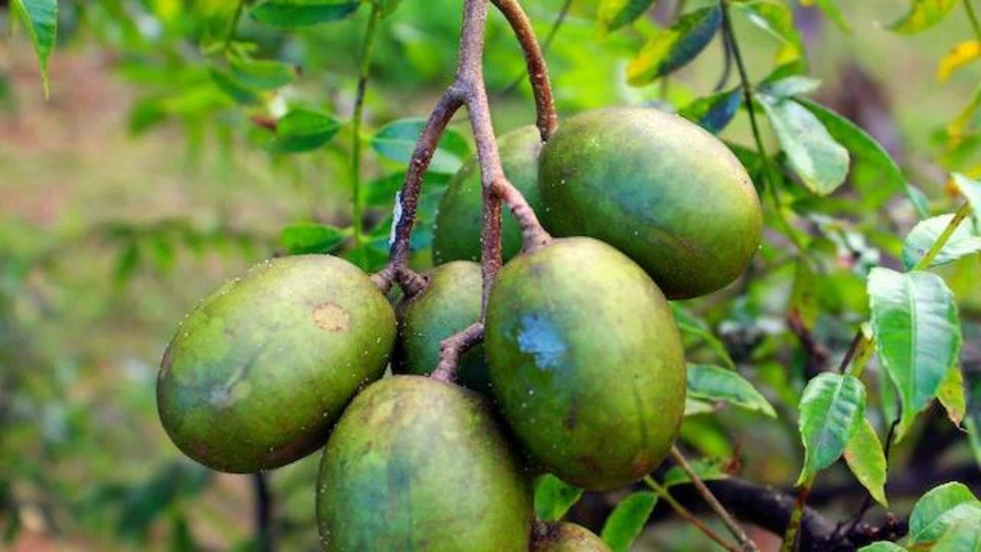 5 surprising health benefits of Indian hog plums
