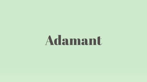 Word of the Day: Adamant