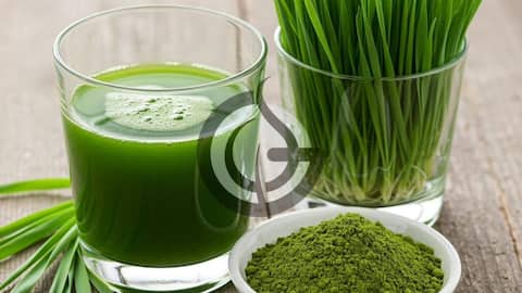 Barley grass juice: A superfood worth adding to your diet
