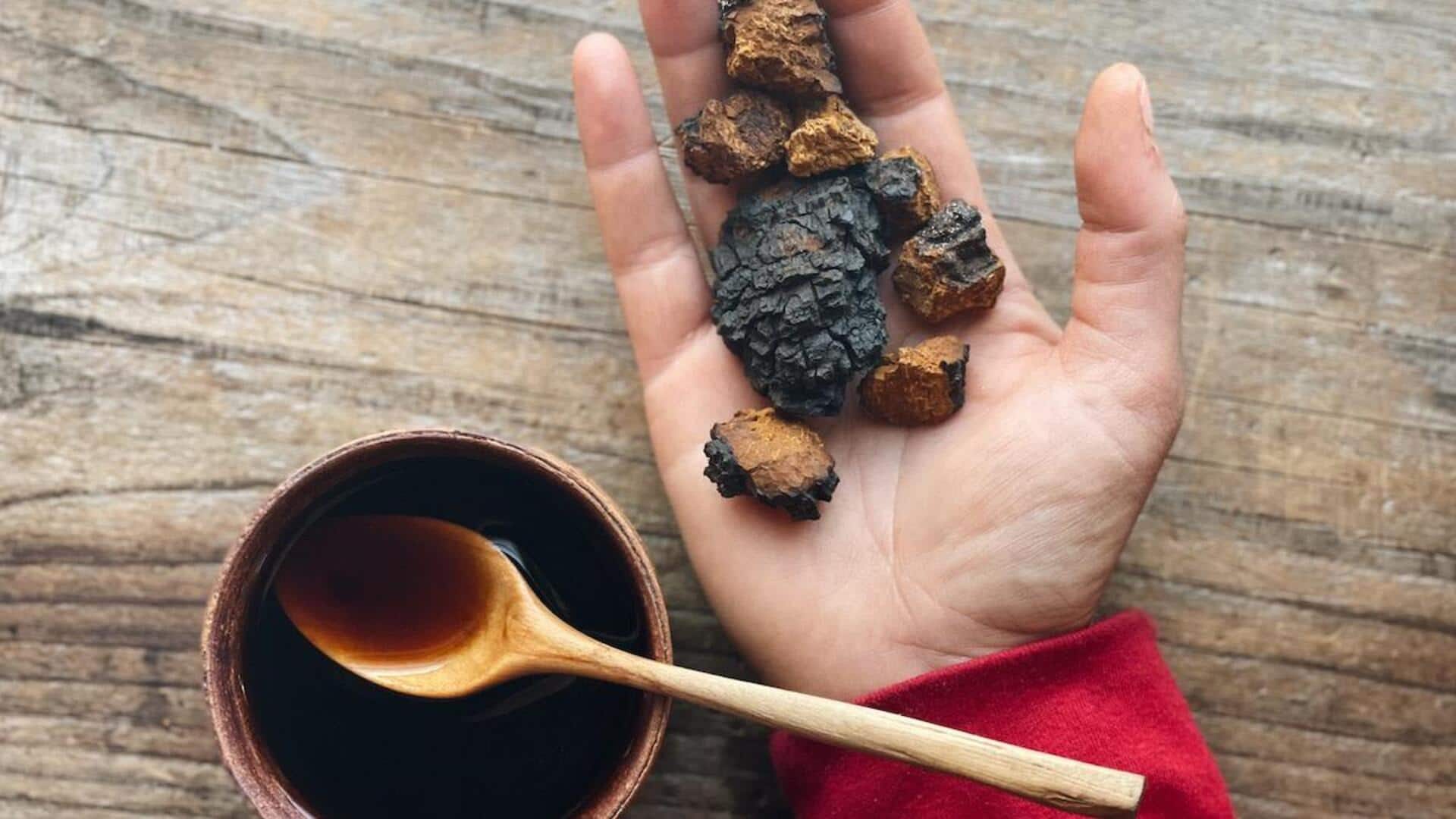 Why chaga mushrooms are gaining popularity exponentially