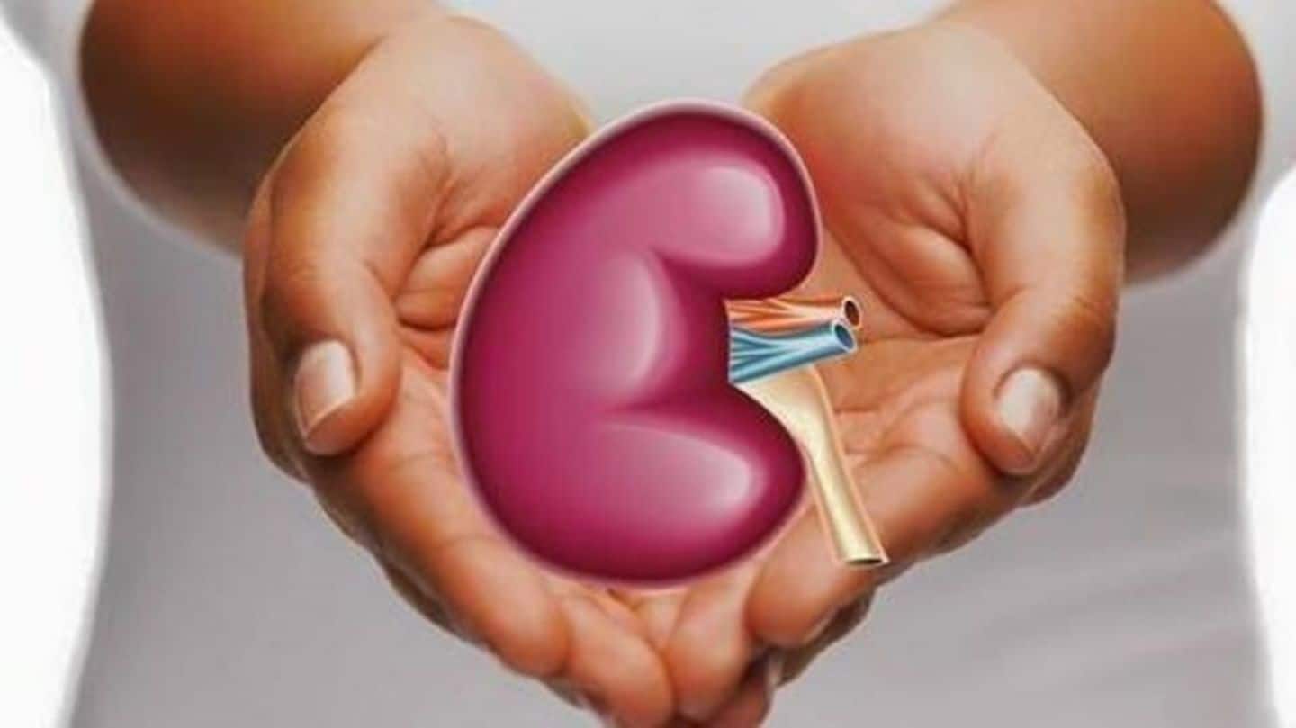 Delhi: Kidneys of poisoned girl save two; first in world