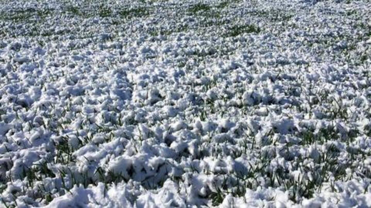Heavy snowfall caused Rs. 500cr-loss to crops, assesses J&K government