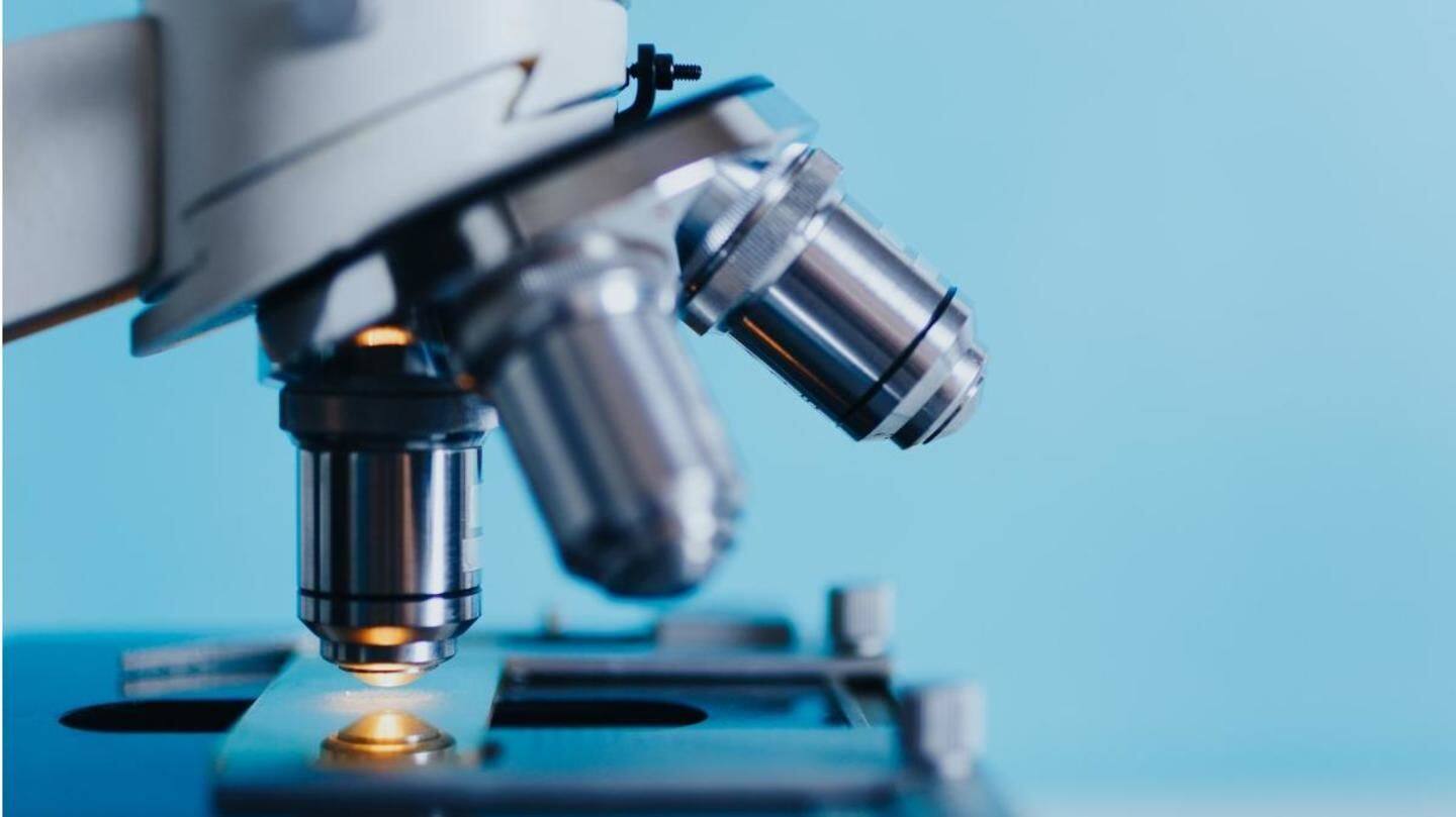 Biotechnology and biomedical engineering career options Biotechnology and biomedical engineering career options