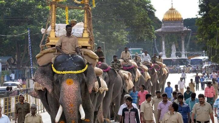 Mysuru: Dasara elephant Arjuna carries 730kg weight in Vijayadashami rehearsals