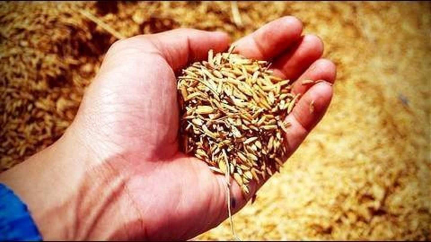 India's foodgrain output forecast to hit a record in 2016-17