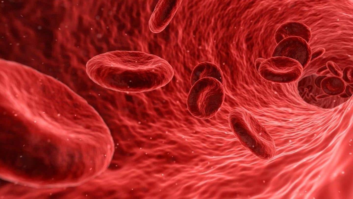 #HealthBytes: Low on hemoglobin? Here's how you can boost it