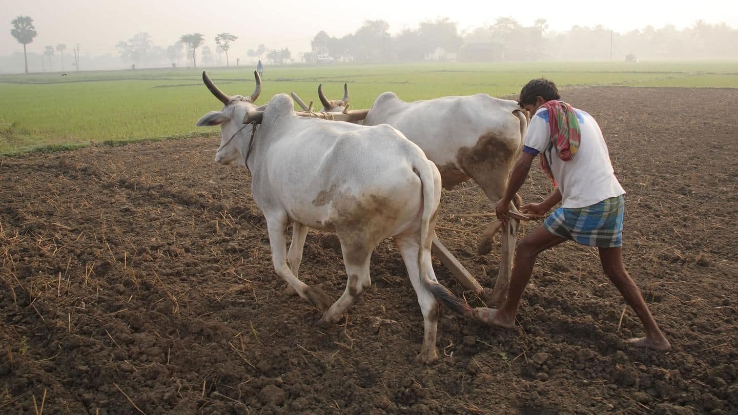 Telangana: Farmers to get free Rs. 5 lakh life insurance