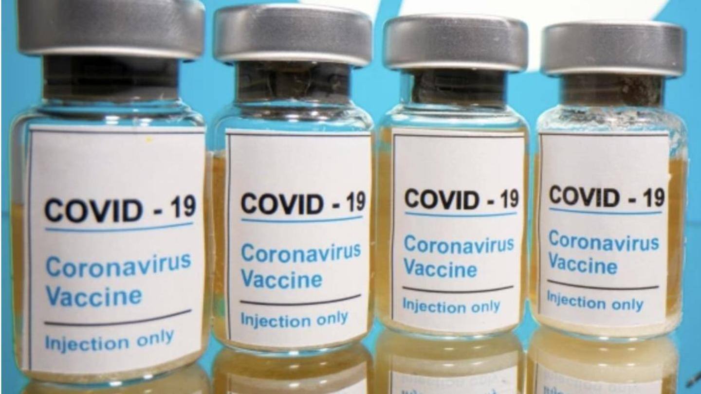 Vaccines should be put in arms now: Task force Vaccines should be put in arms now: Task force