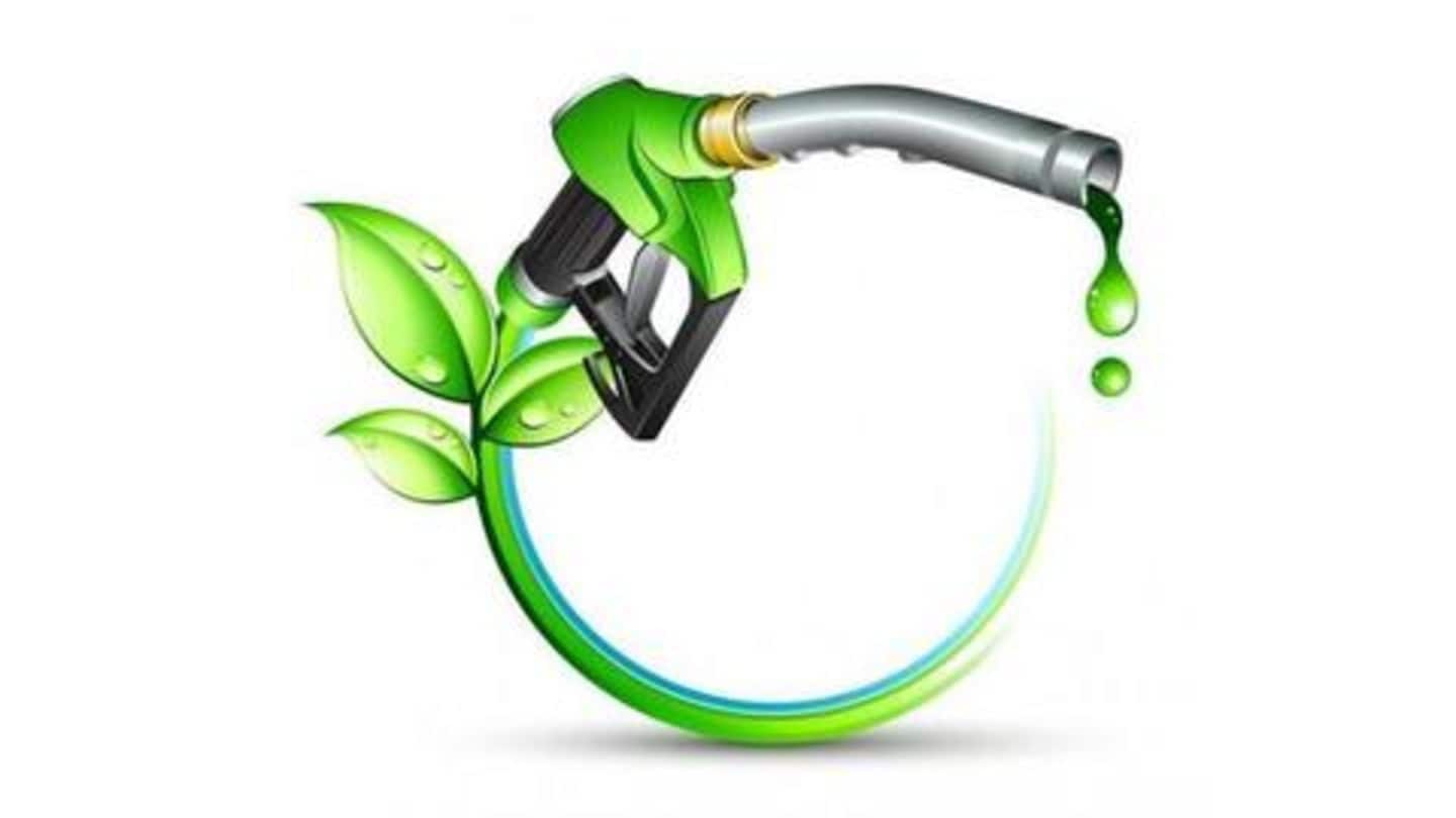 This innovative device turns waste cooking oil into biodiesel This innovative device turns waste cooking oil into biodiesel