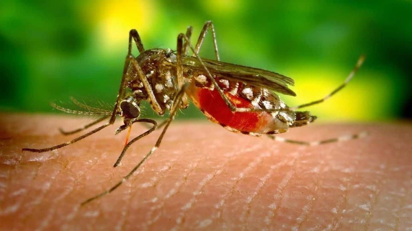 India: Climate-based system to identify and predict dengue outbreaks