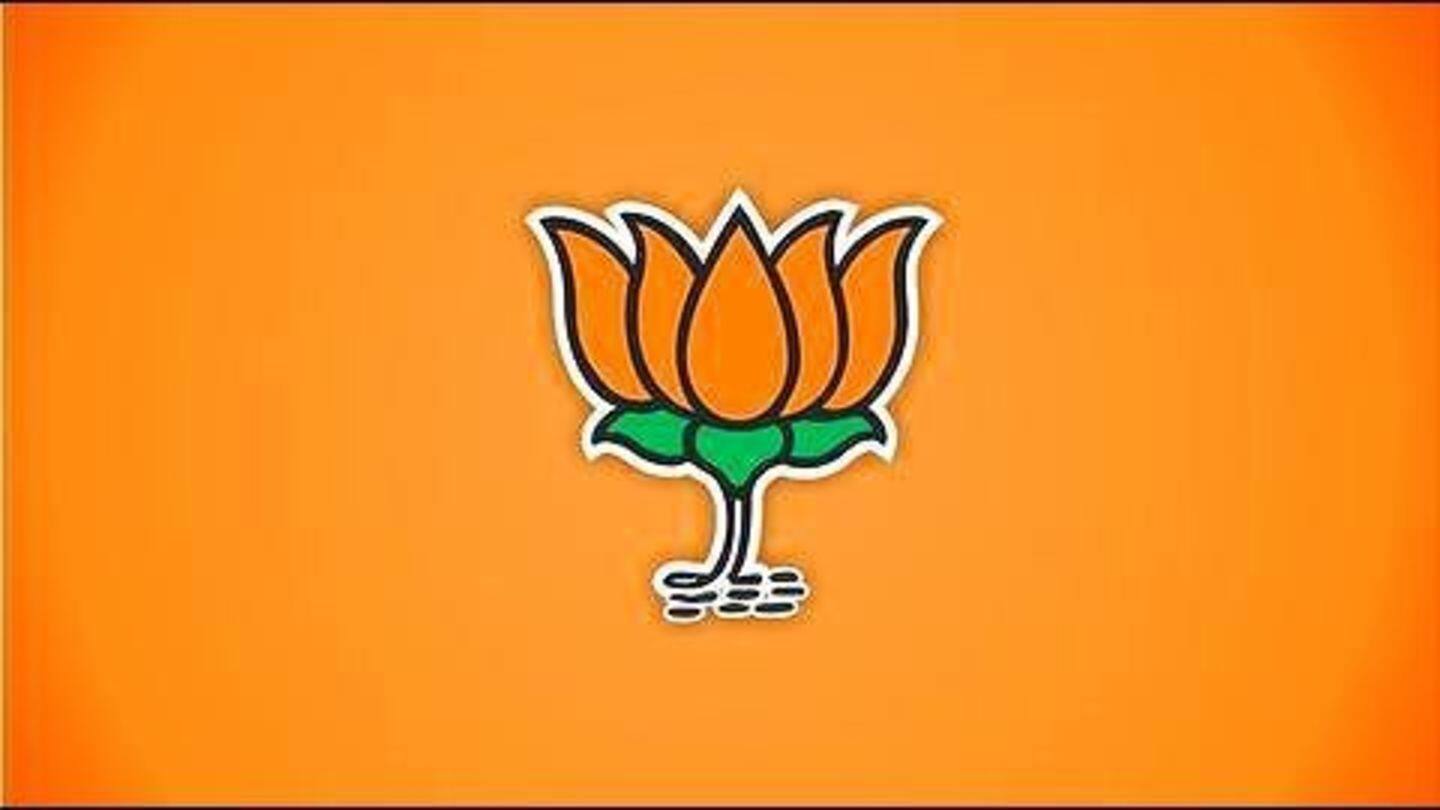 Delhi Municipal Elections: BJP releases manifesto; what does it promise?