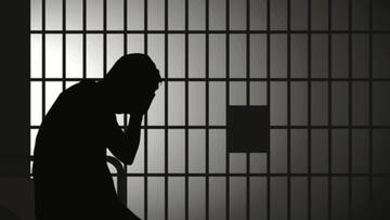 US: Indian-origin man sentenced to prison for wire, visa fraud