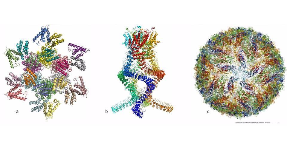 Applications of cryo-electron microscopy method Applications of cryo-electron microscopy method