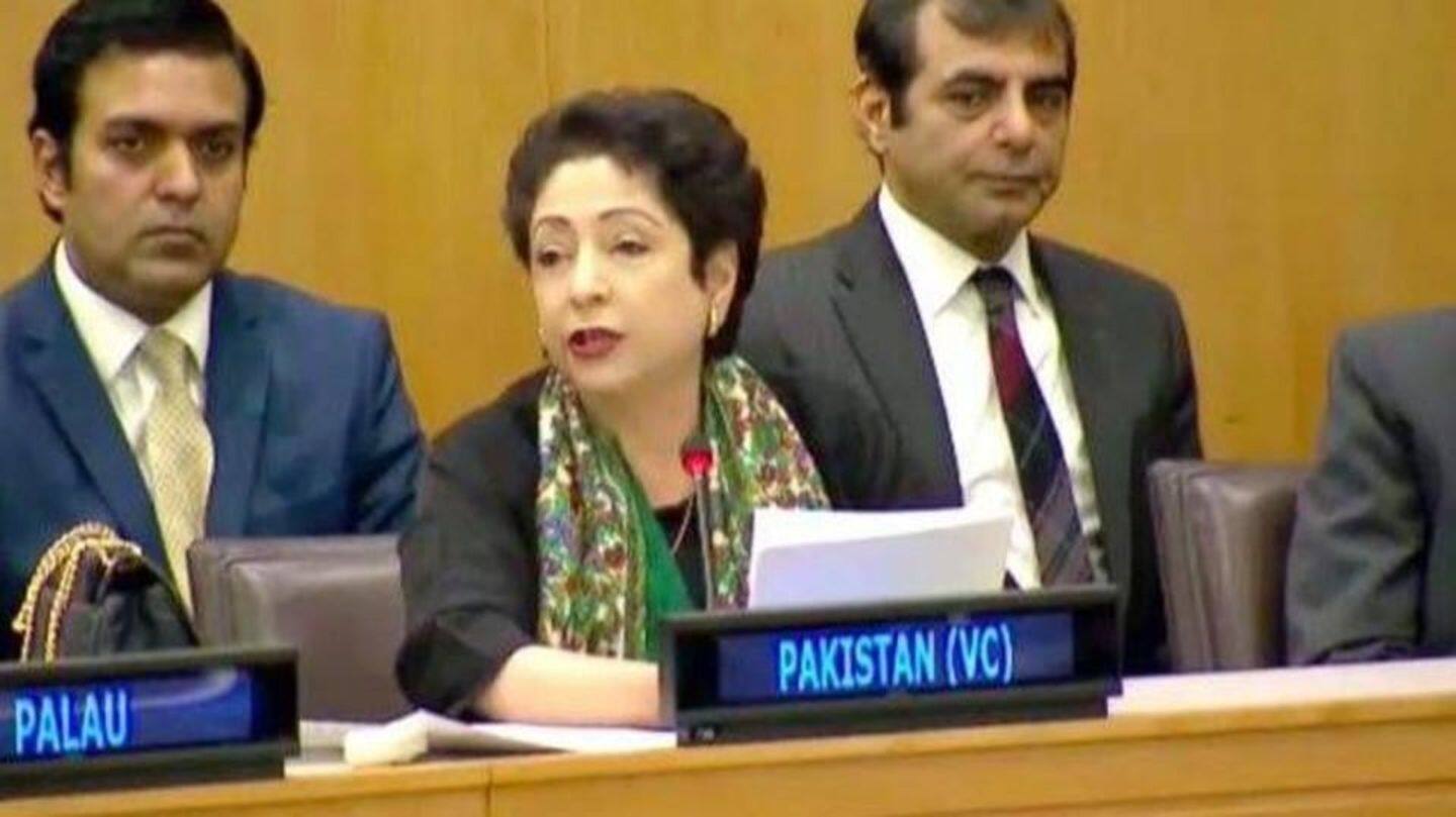Pakistan lobbying UN to declare India a "sponsor of terror"