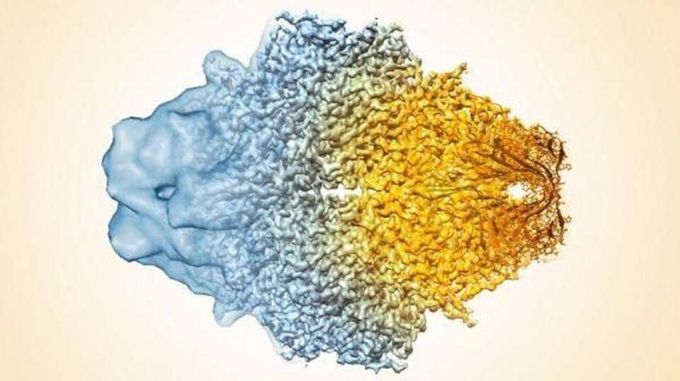 Biomolecules can be examined in native, undamaged state Biomolecules can be examined in native, undamaged state