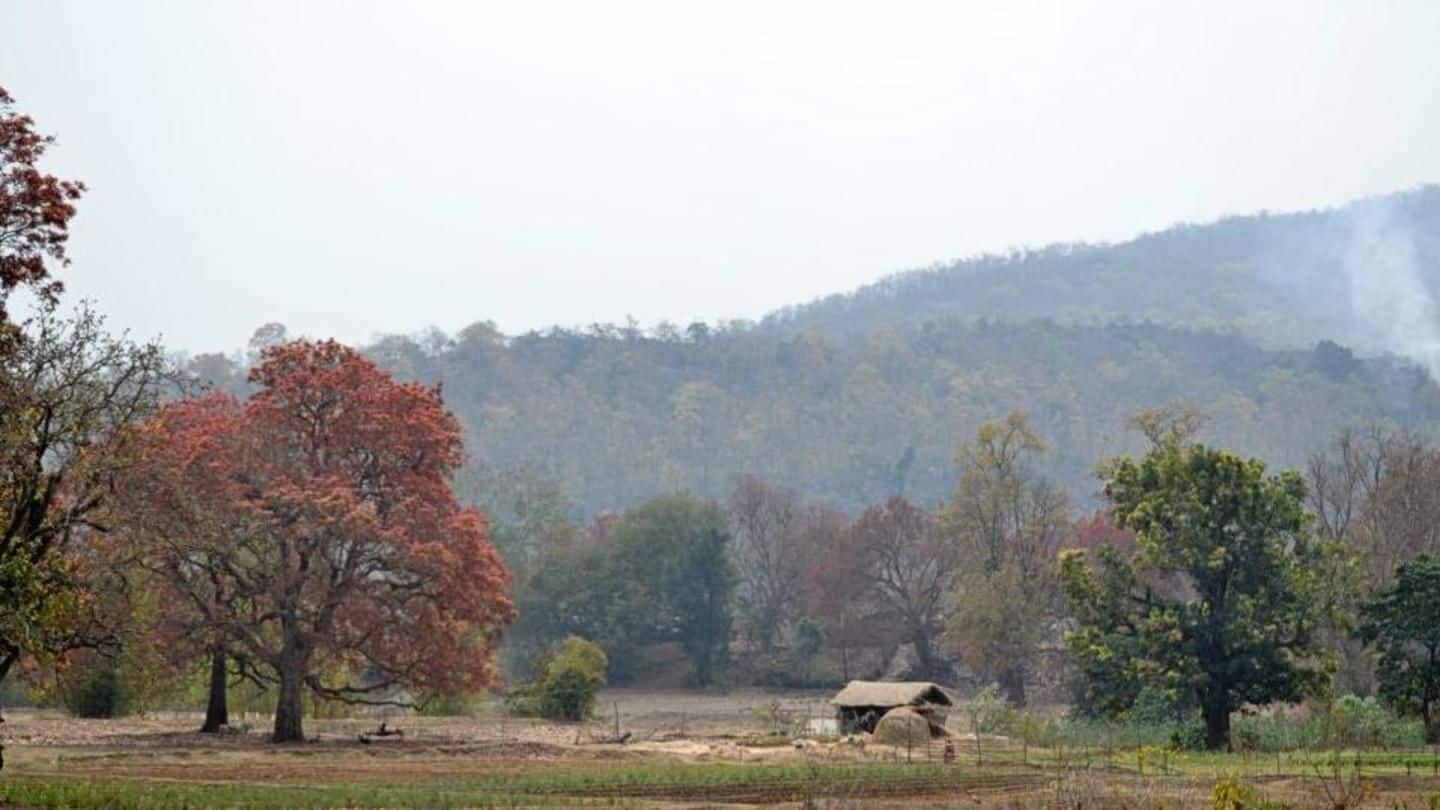 Odisha: Similipal National Park to reopen in November
