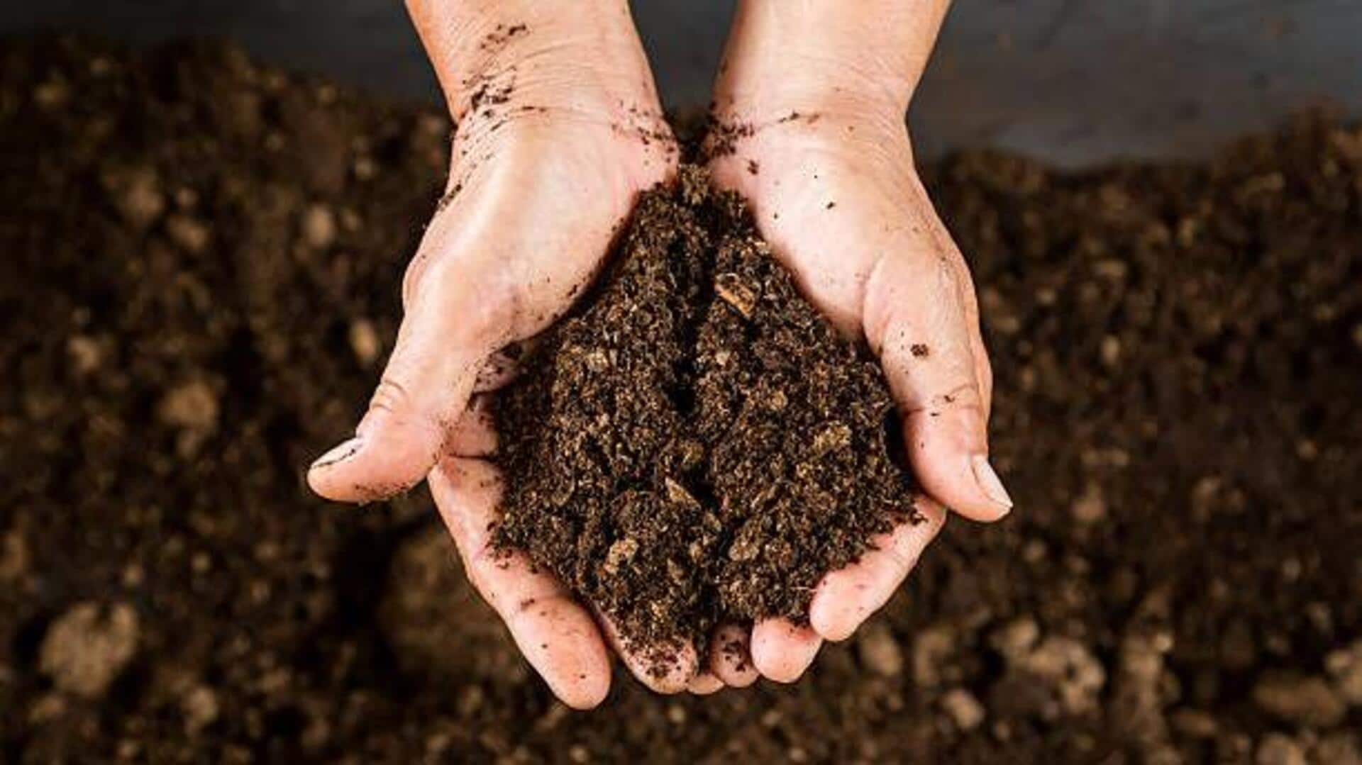 Vermicomposting at home: A beginner's guide Vermicomposting at home: A beginner's guide