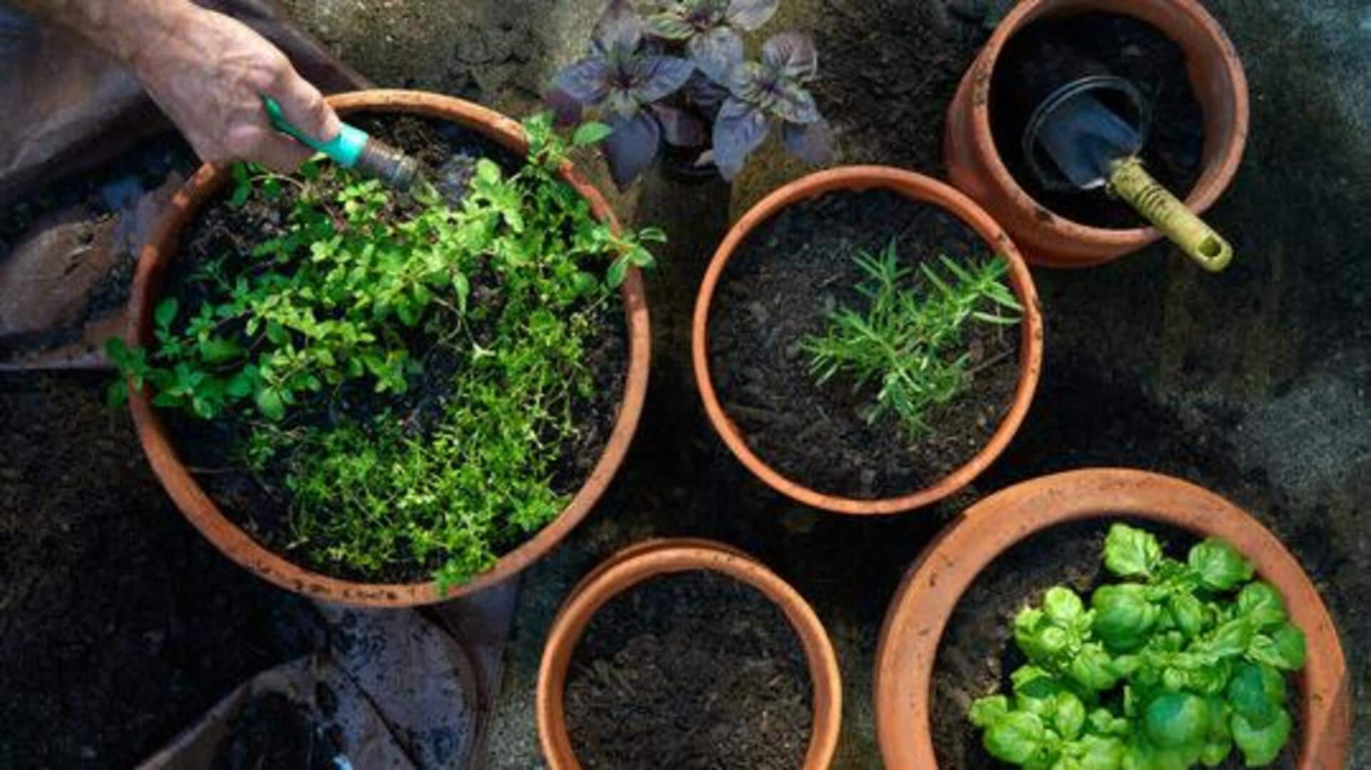These AI tools can make urban gardening effortless 