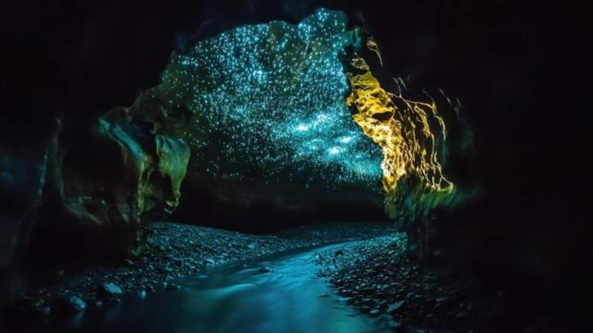 Discover the enchantment of glowworm caves 