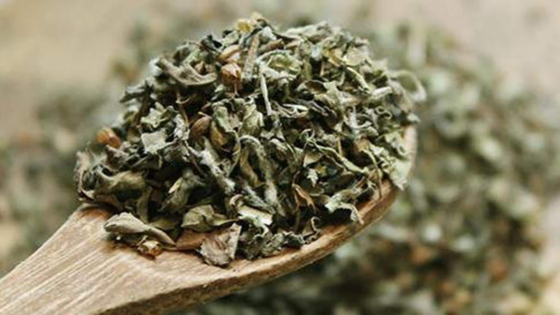 Essential dried herbs every kitchen needs Essential dried herbs every kitchen needs
