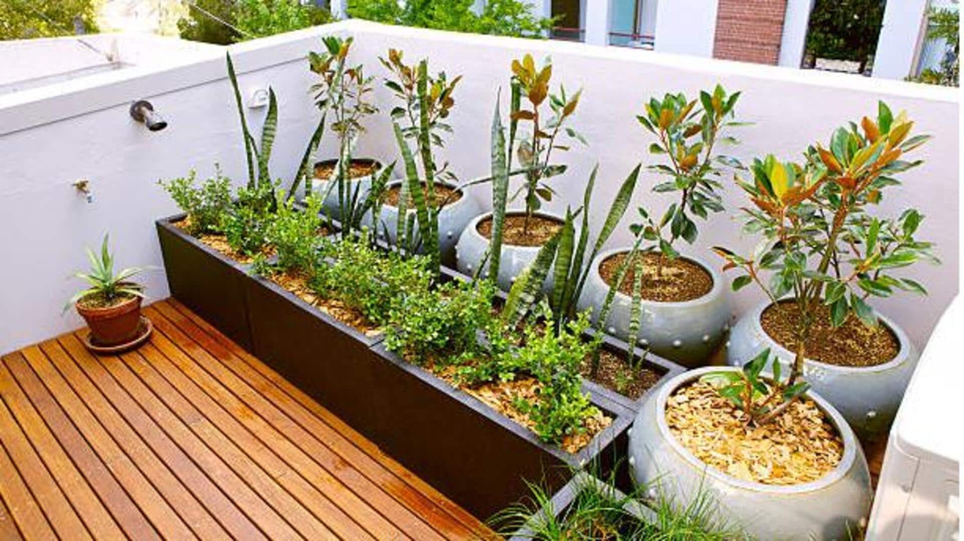 How to start a herb garden at home How to start a herb garden at home