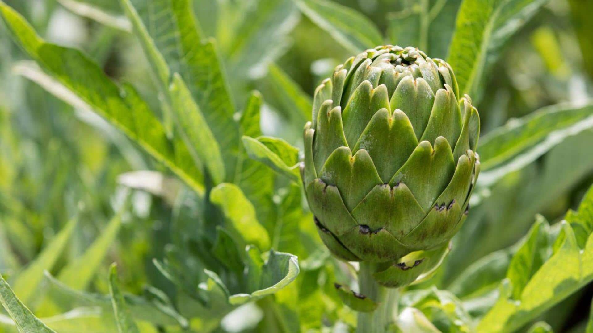 Artichokes: Must-try dishes featuring this Mediterranean vegetable