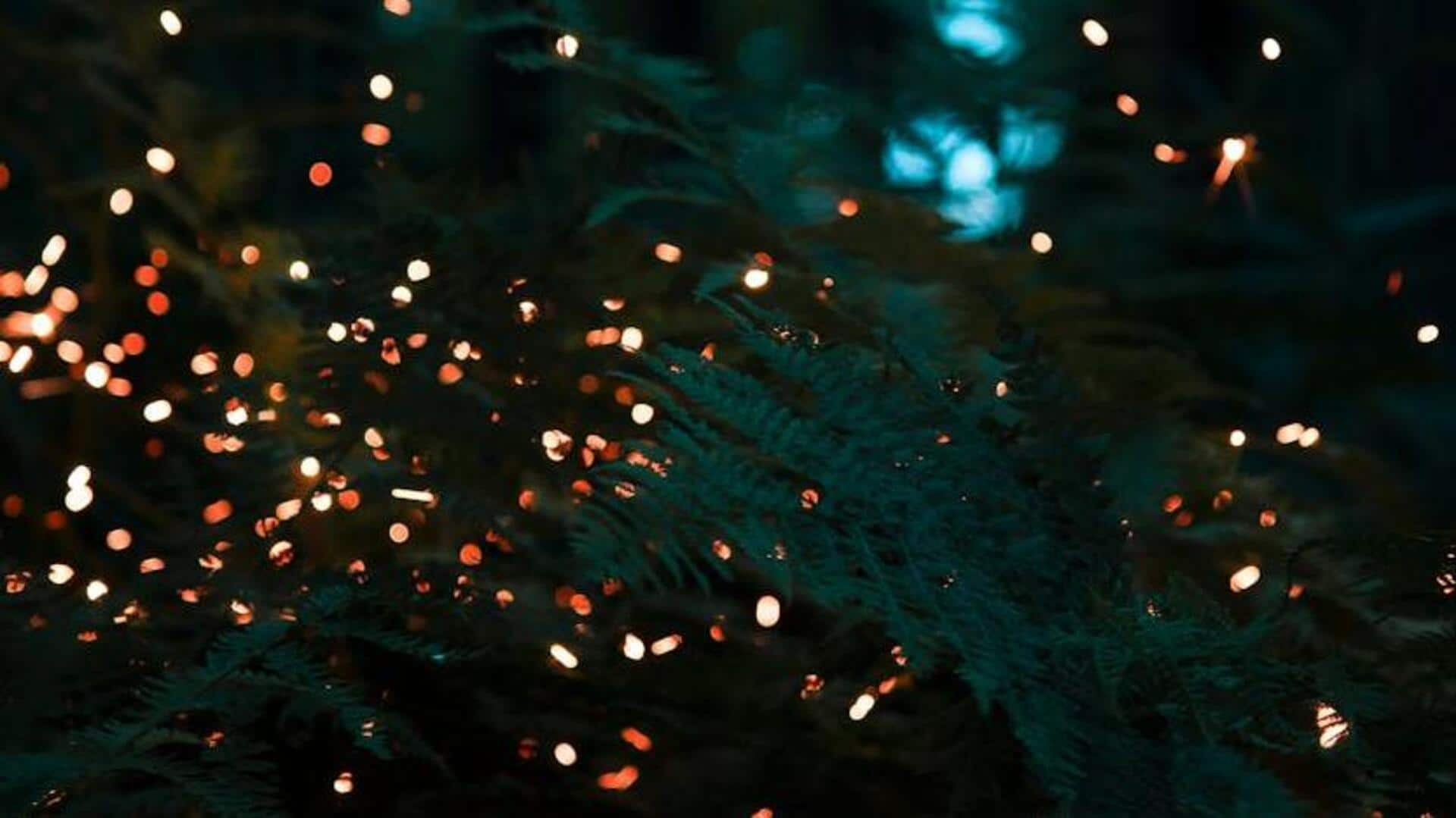 Marvel at Toyama Bay's glowing firefly squids