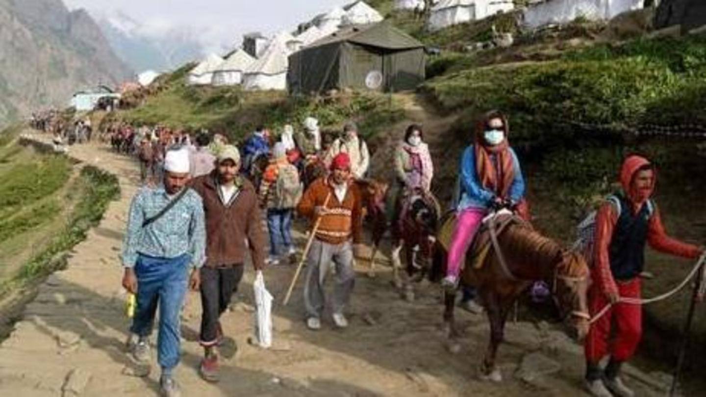 Ponies to be screened against Glander's disease Ponies to be screened against Glander's disease