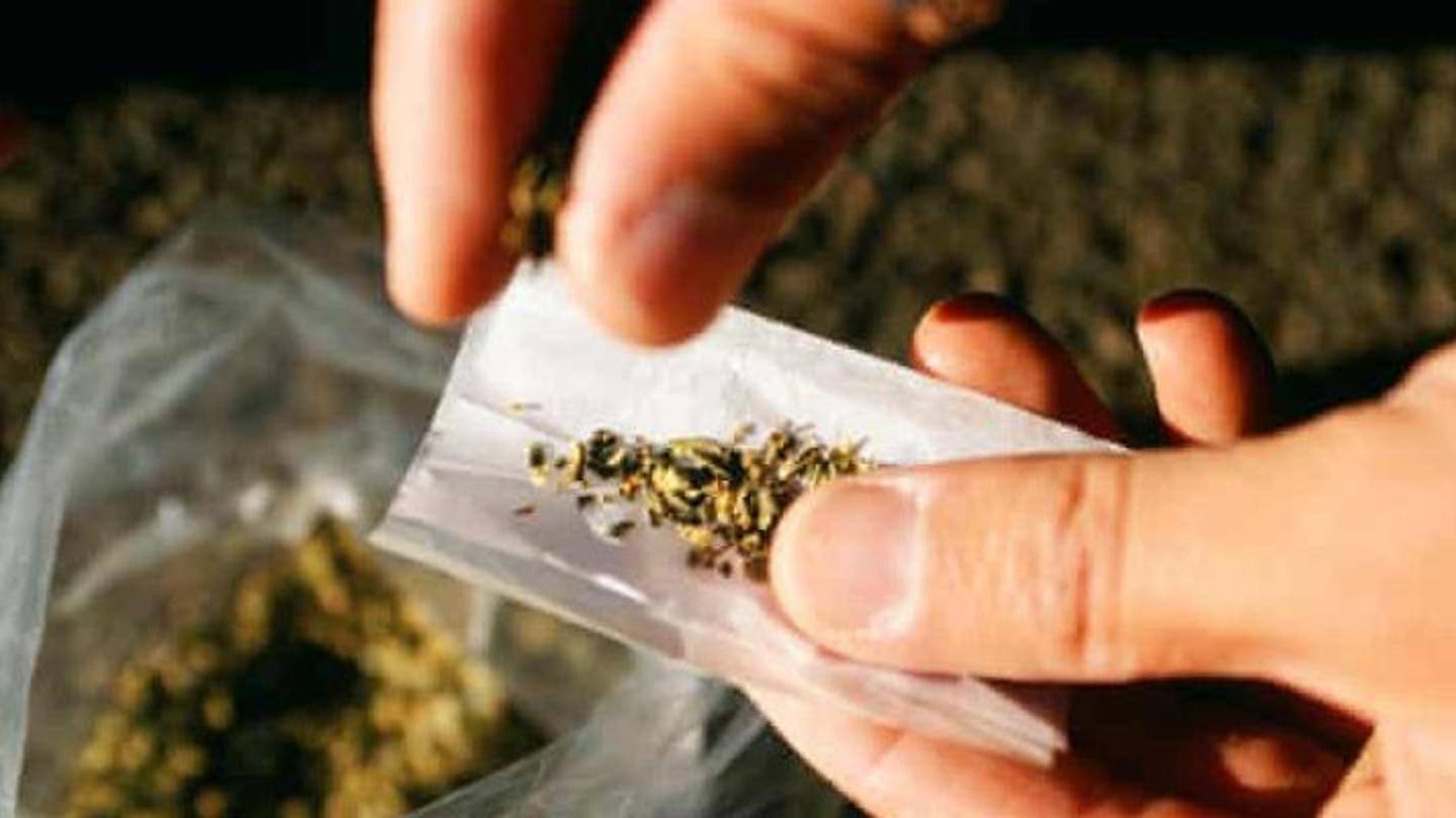 Accused has been into drug trafficking for three years Accused has been into drug trafficking for three years