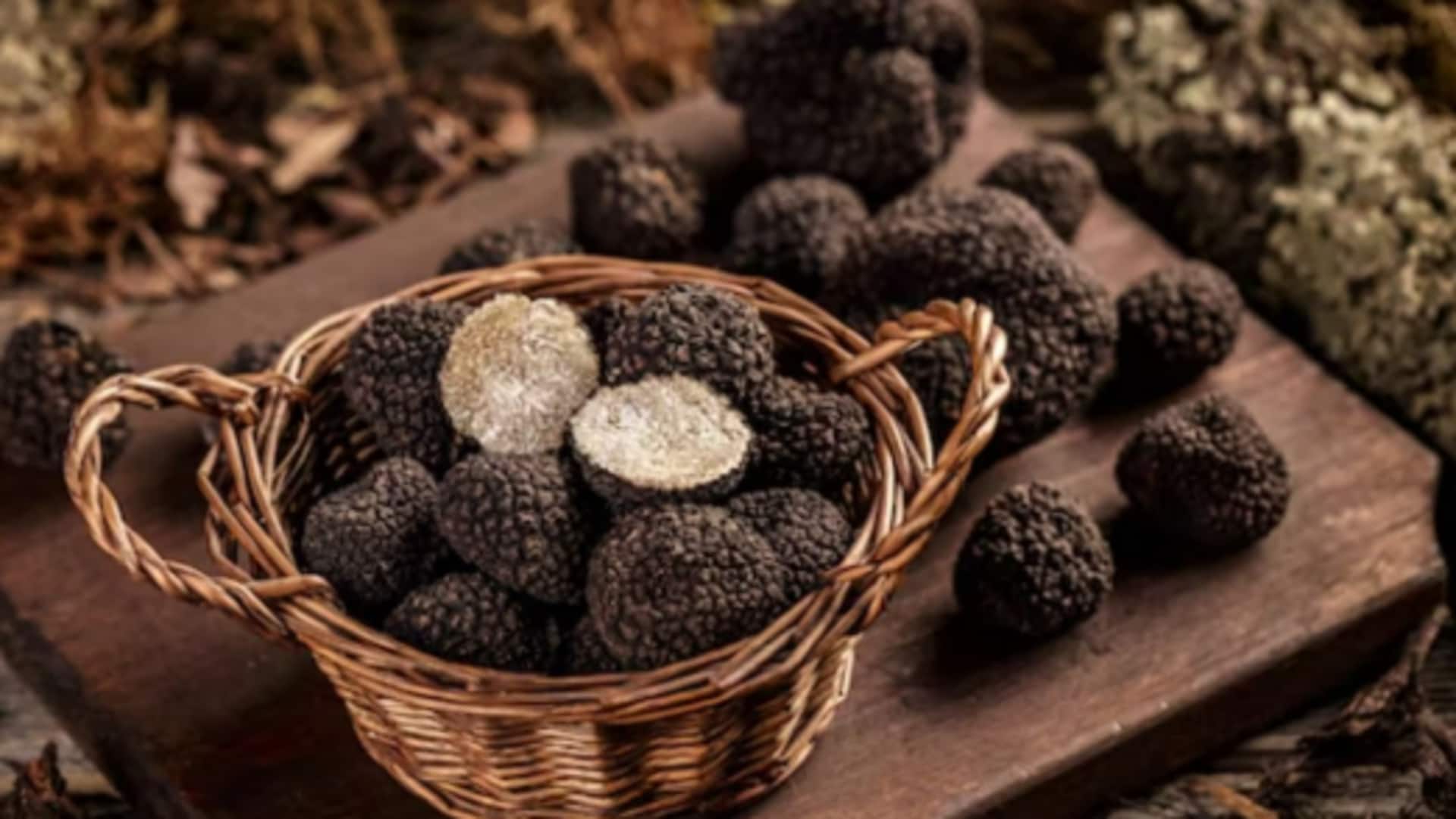 5 mushroom-based desserts you must try 5 mushroom-based desserts you must try
