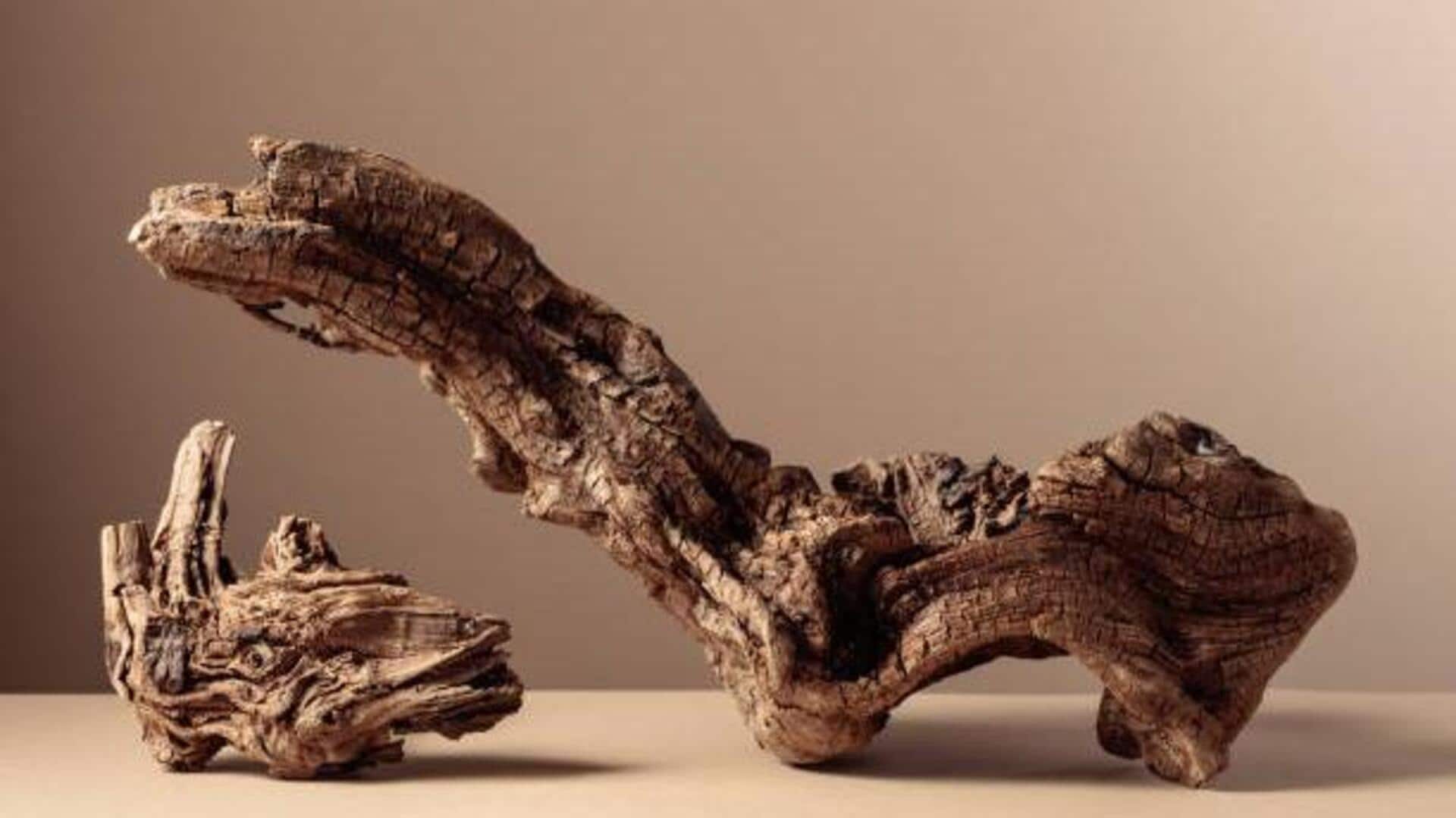 How to create stunning art using driftwood