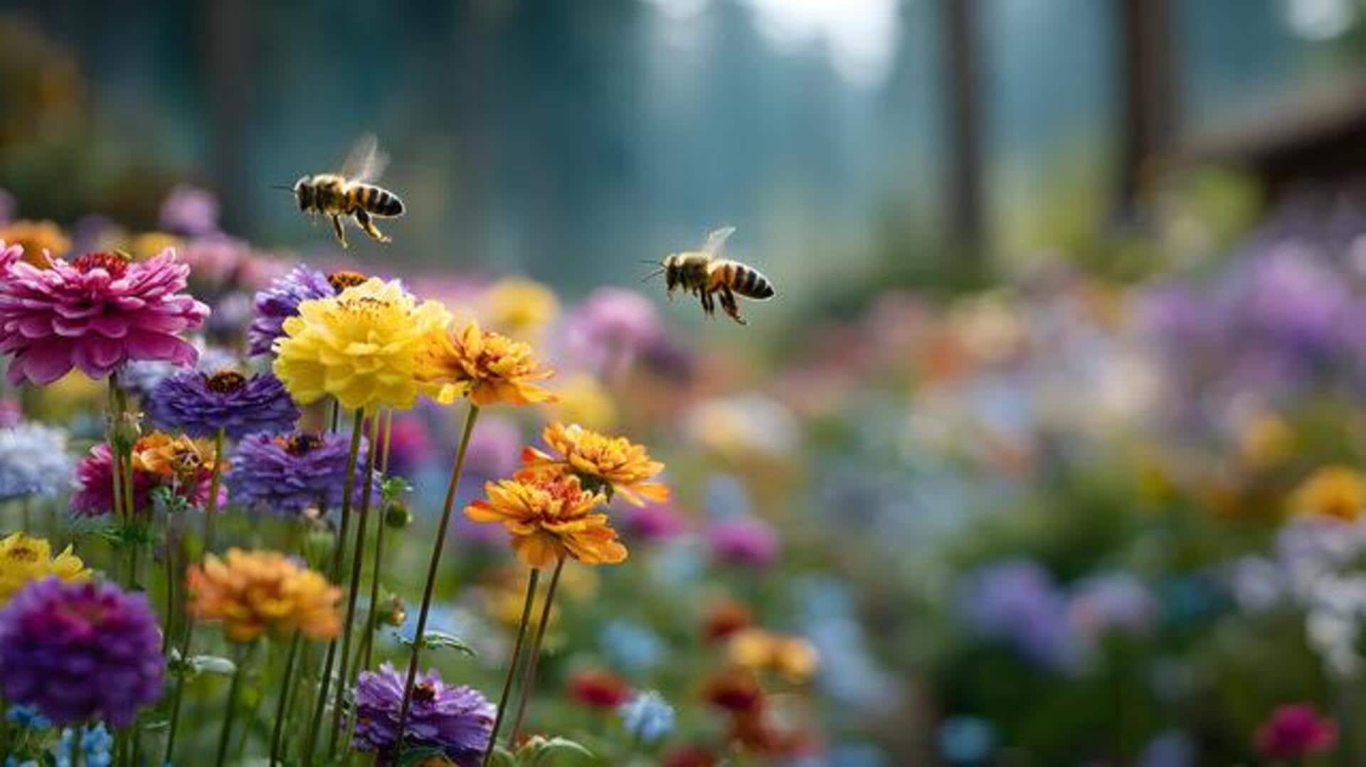 How to create a pollinator-friendly garden
