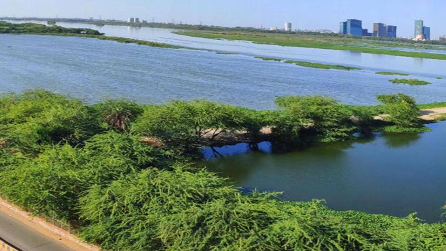 Release of freshwater from Wazirabad Barrage improved water quality Release of freshwater from Wazirabad Barrage improved water quality