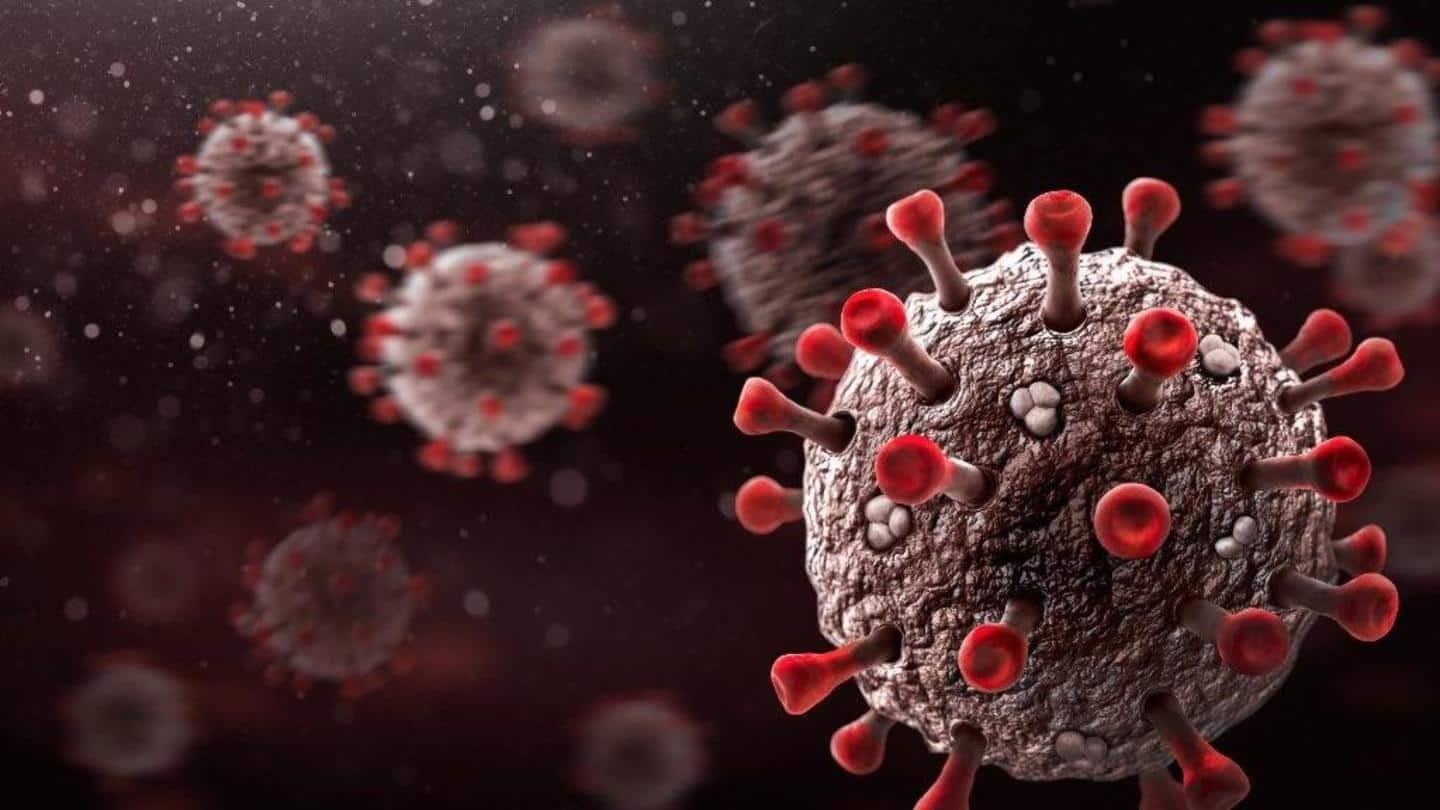 COVID-19: Scientists develop new tool to decontaminate viruses in aerosols