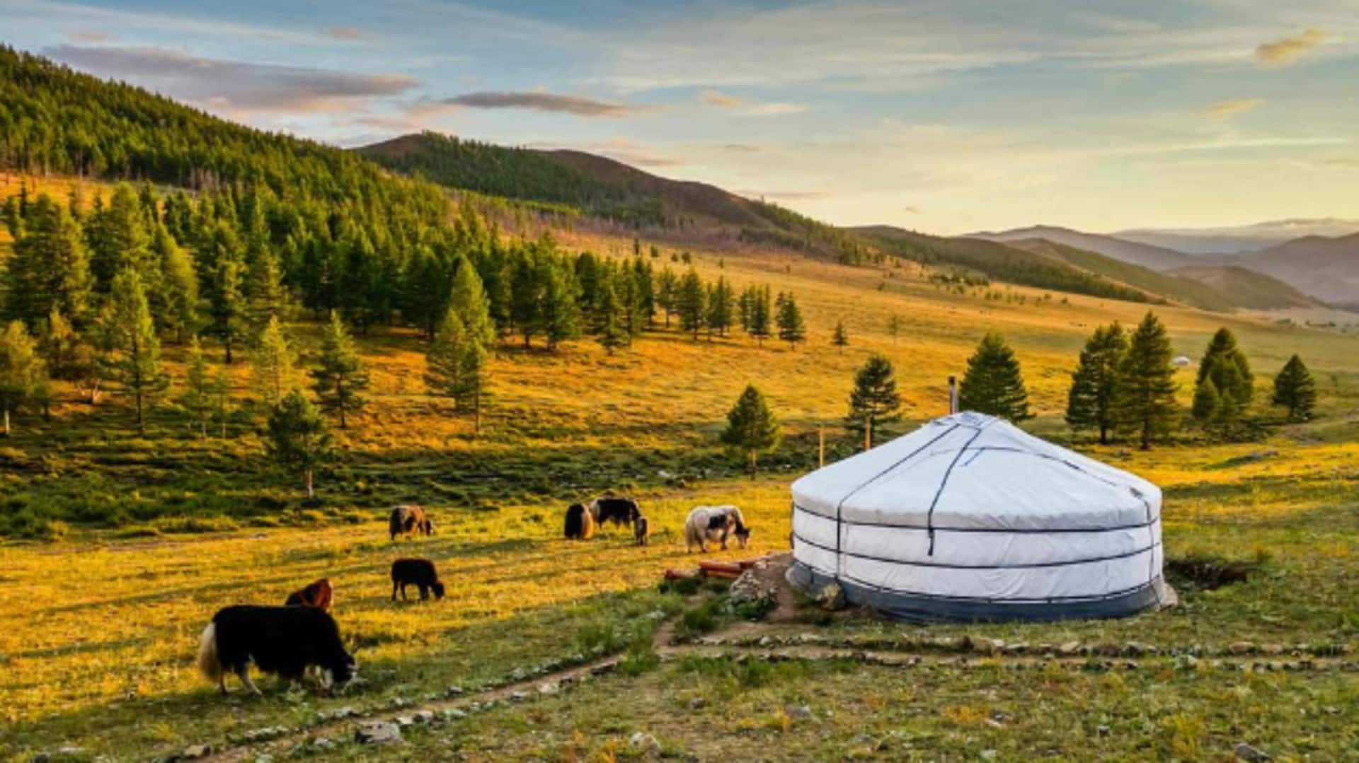 Gallop through Mongolia's endless steppe