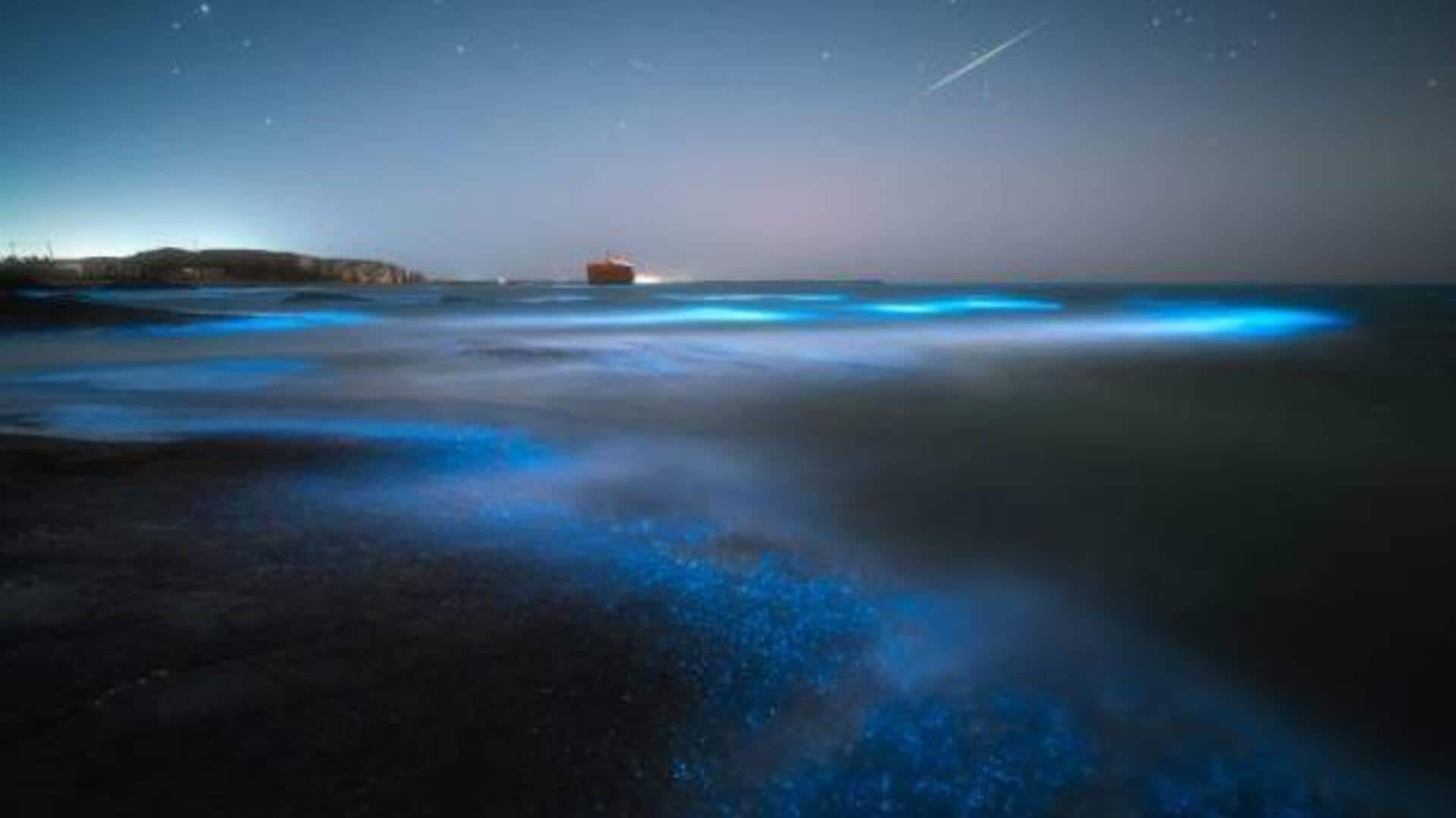 The nighttime ocean phenomenon you must see 