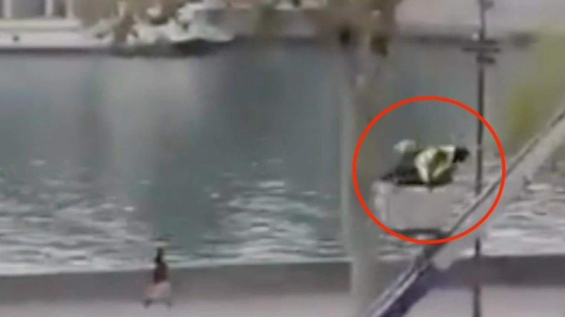 New Louvre heist video surfaces; shows robbers descending on ladder New Louvre heist video surfaces; shows robbers descending on ladder