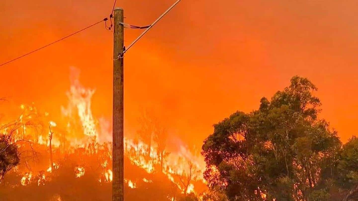 Australia: 30 homes estimated to have been lost in wildfire