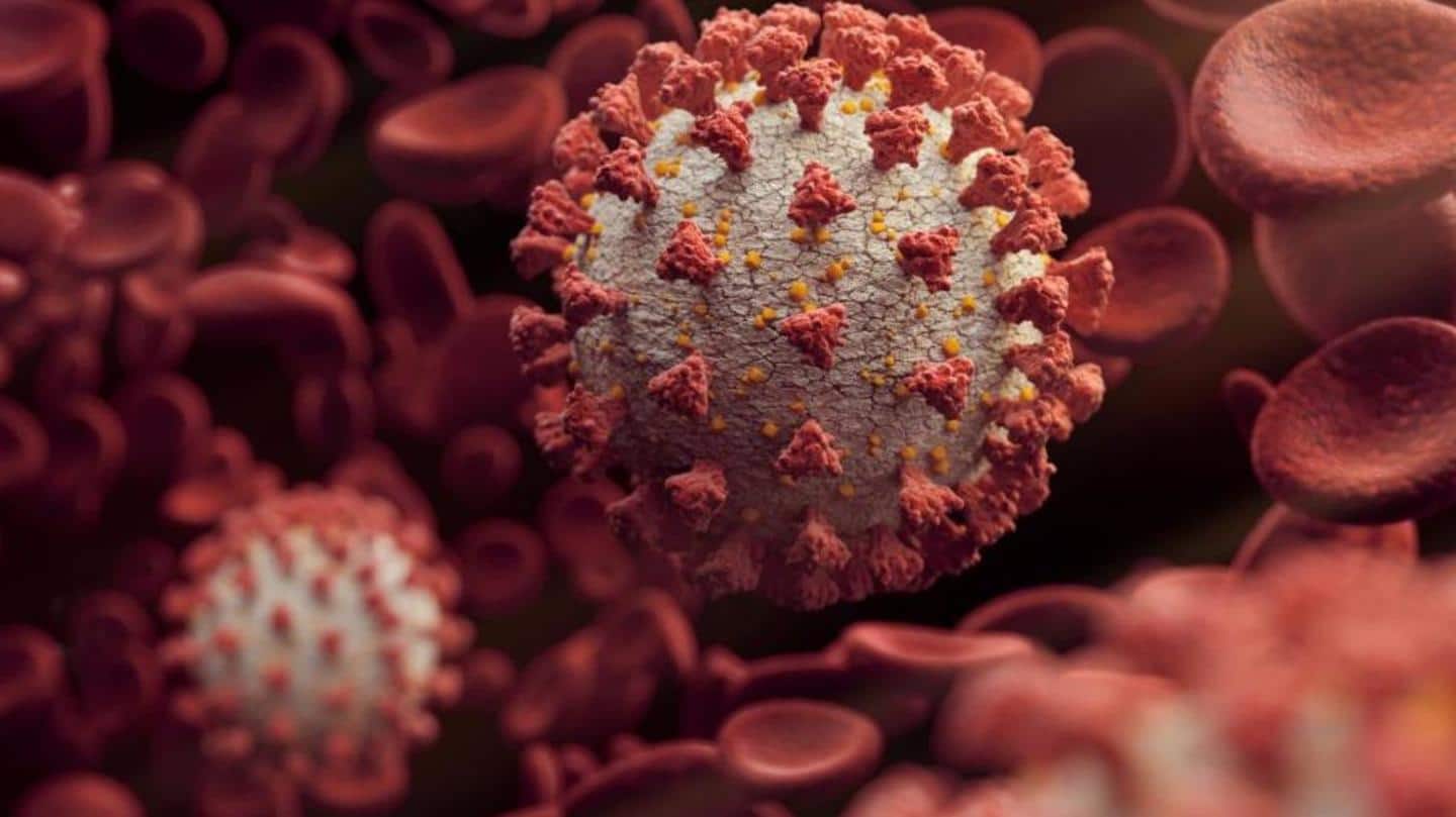 At least 33 countries have reported the new variant At least 33 countries have reported the new variant