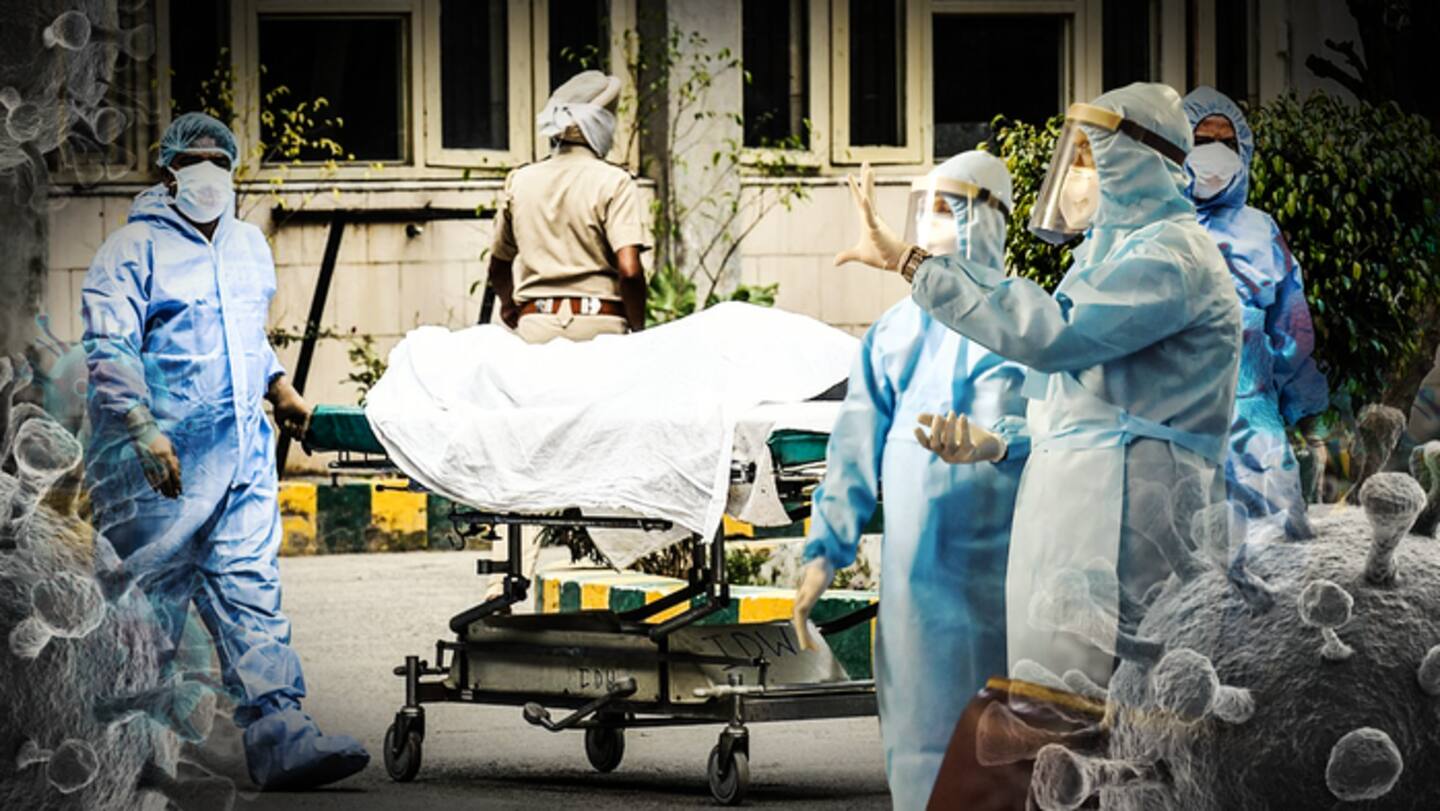 They steal organs from patients and then kill them: Pal They steal organs from patients and then kill them: Pal