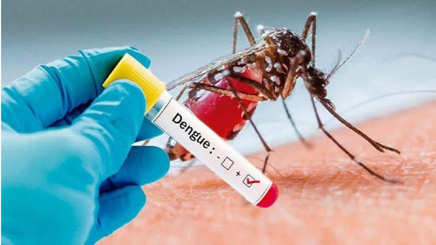 Delhi: Nearly 100 dengue cases this year; 45 in August