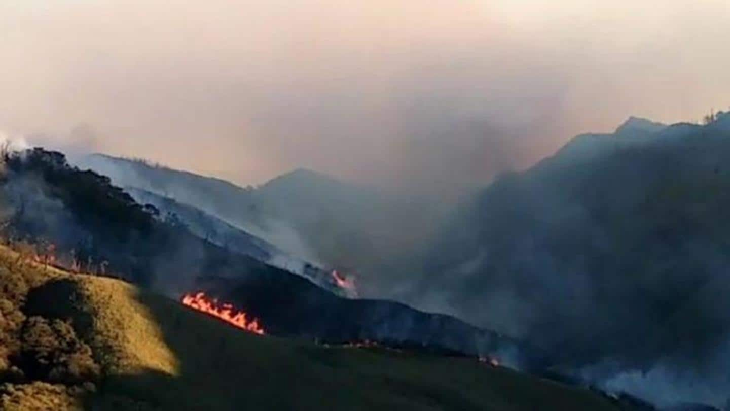 Forest fire in Dzukou Range of Nagaland under control: Officials