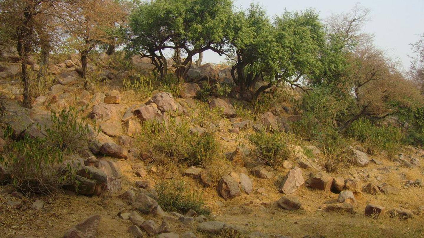 Govardhan is Krishna himself: Siya Ram Baba Govardhan is Krishna himself: Siya Ram Baba