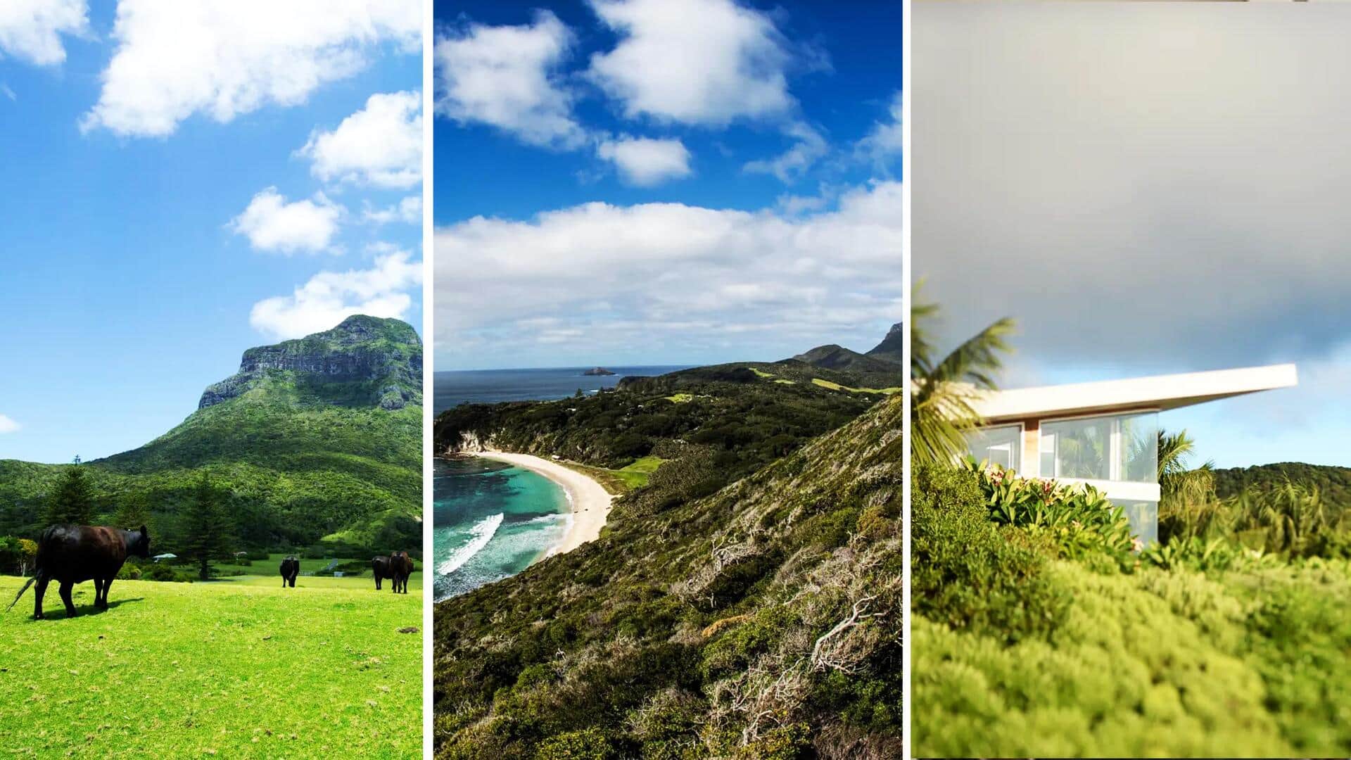 Exploring Lord Howe island's uniqueness