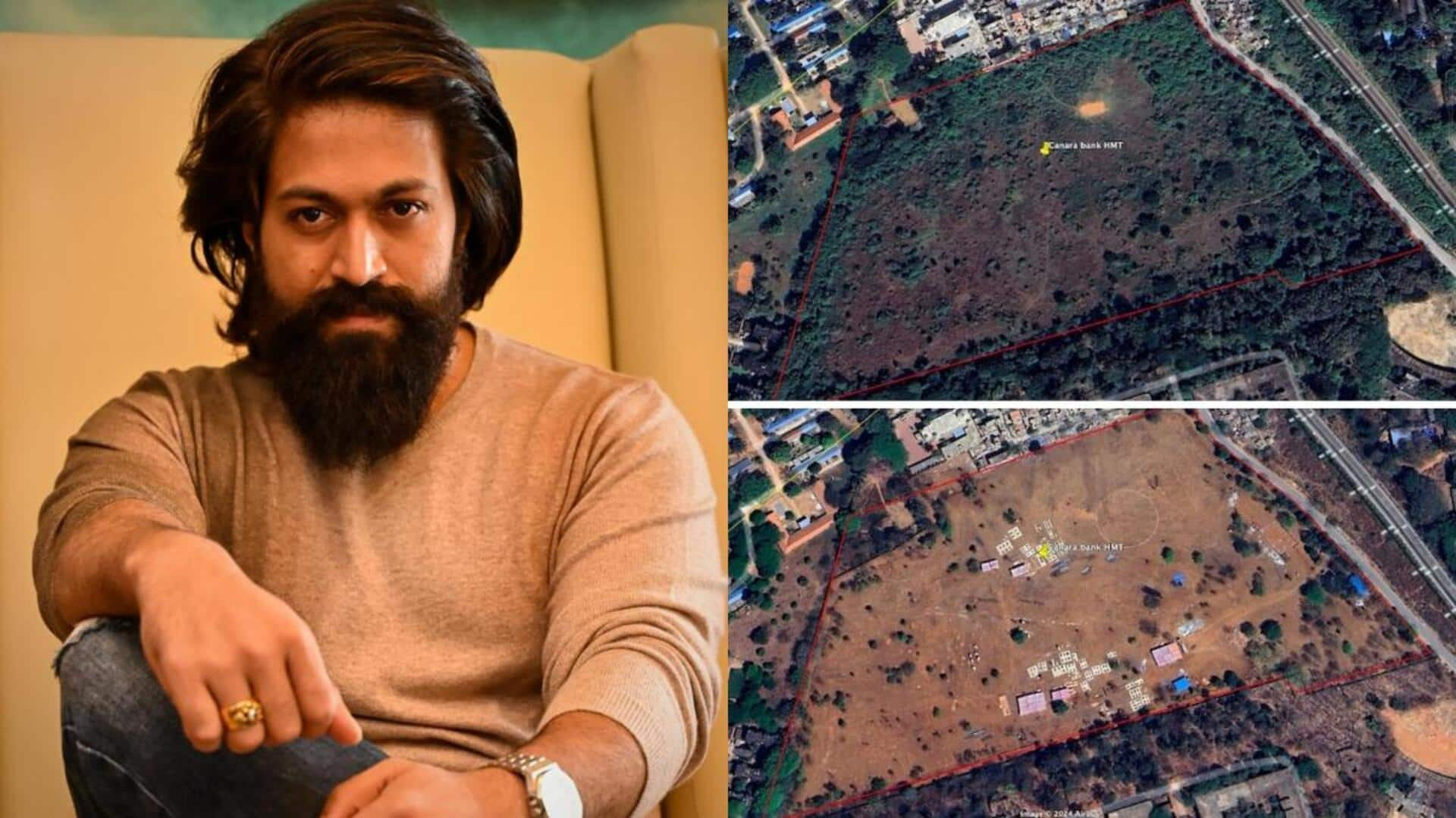 Over 100 trees cut down for Yash's 'Toxic'? Controversy explained