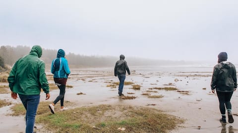 What is marsh walking? Know its benefits
