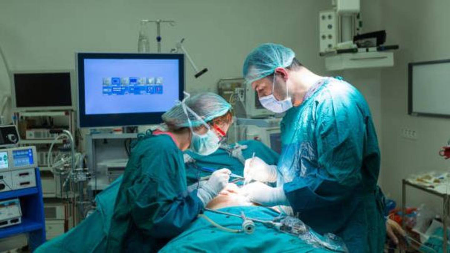 Recent pig kidney surgery paved way for transplant Recent pig kidney surgery paved way for transplant