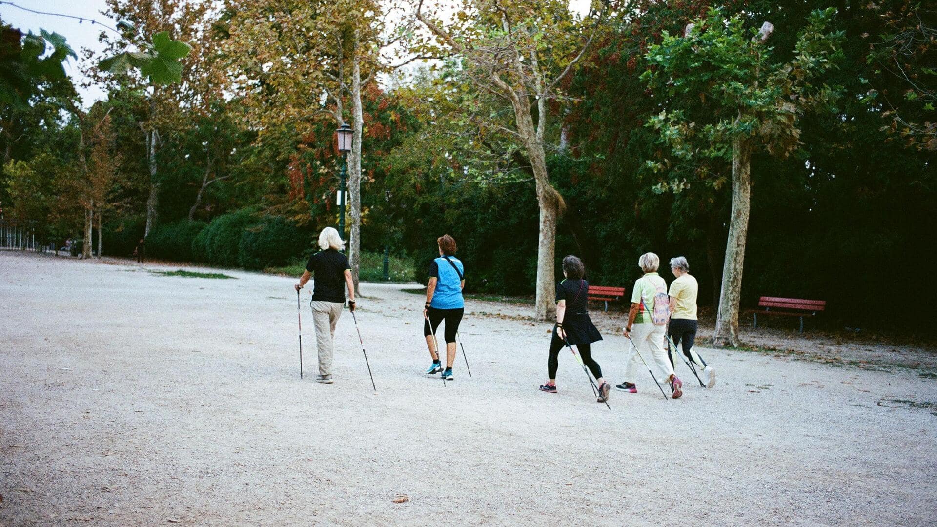 Which helps mental health more, Tai Chi or Nordic walking?