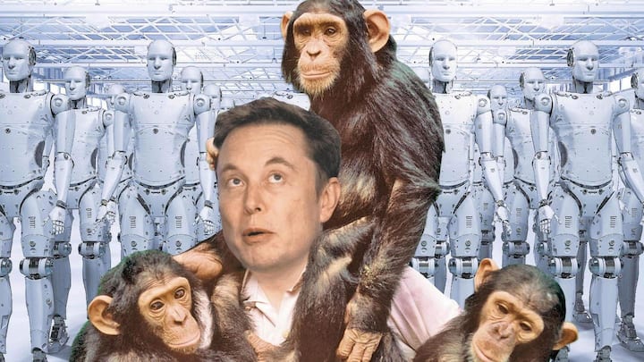 NewsBytes Briefing: Musk's army of gamer cyborg monkeys, and more