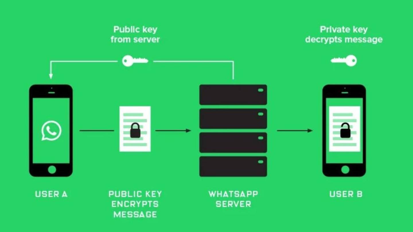 WhatsApp argues bypassing encryption will violate user privacy rights WhatsApp argues bypassing encryption will violate user privacy rights